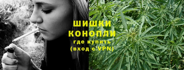 дмт Сосновый Бор