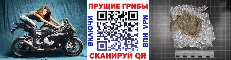 купить наркотик  Глазов  Галлюциногенные грибы мицелий 