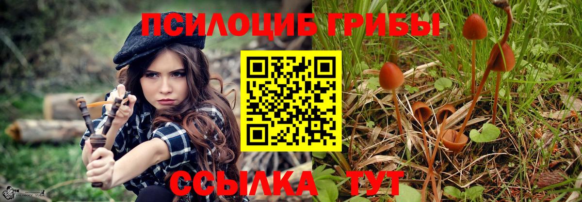 Псилоцибиновые грибы прущие грибы Глазов