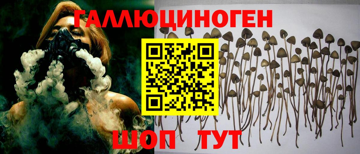 Галлюциногенные грибы прущие грибы  Вход с VPN  Галлюциногенные грибы Cubensis  Глазов 